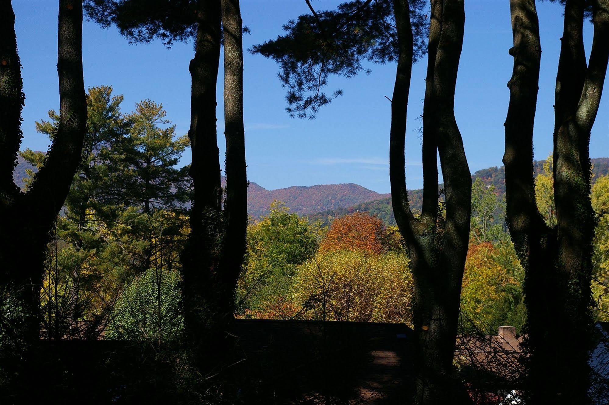 Brookside Mountain Mist Inn Уейнсвил Екстериор снимка